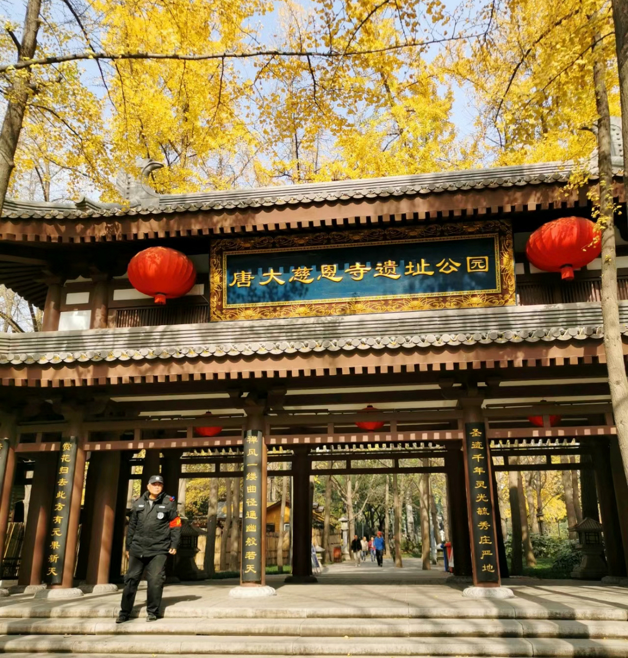 大慈恩寺遗址公园里的秋天别具韵味,不一样品种的树叶子呈现出不一样