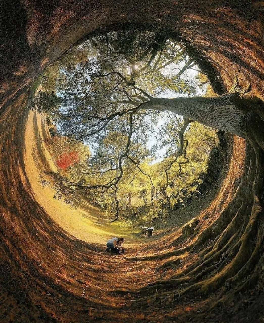 网友:据说这是鱼眼中的世界,是不是很奇妙.