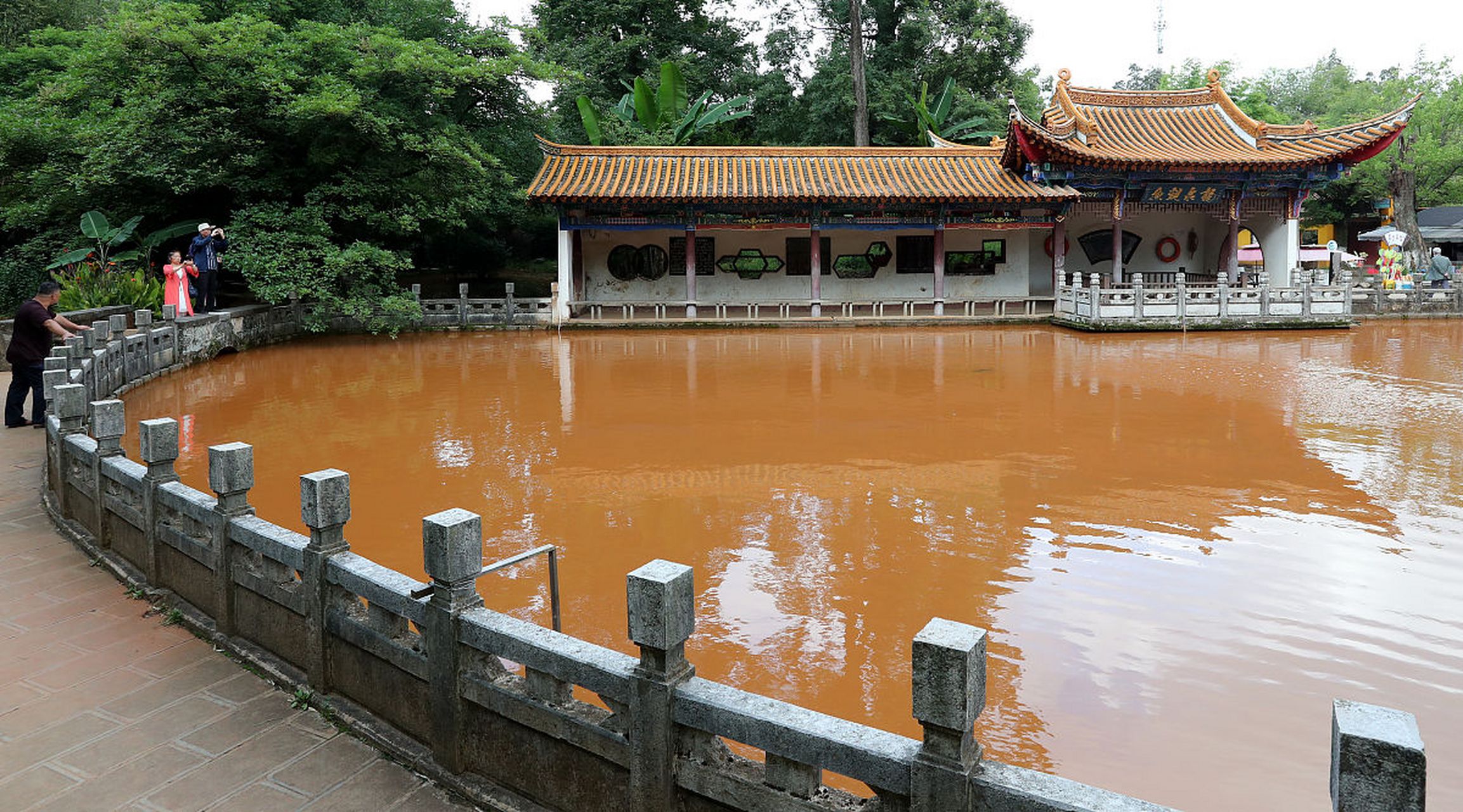 在昆明的黑龙潭公园有一个奇景,两潭泉水相通,呈现出一潭清一潭浑的