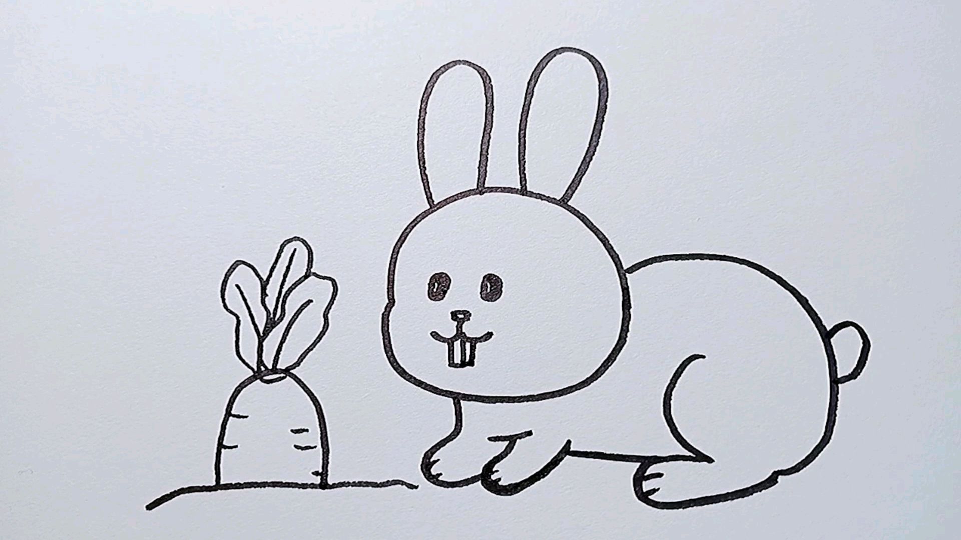 可爱的小白兔简笔画