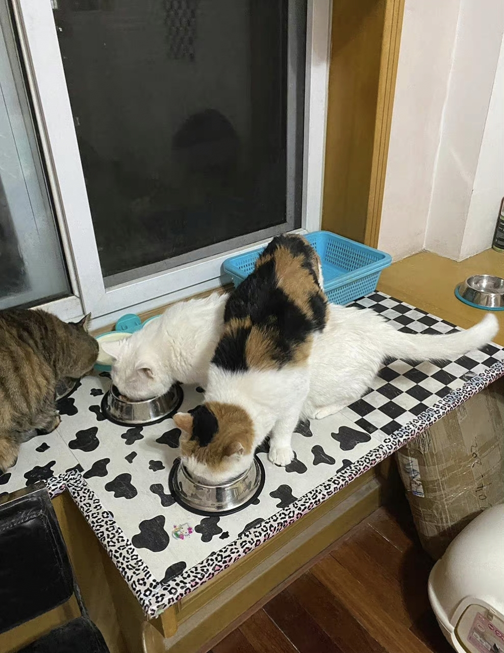 这样交叉着吃饭,和喝交杯酒是一个意思么?