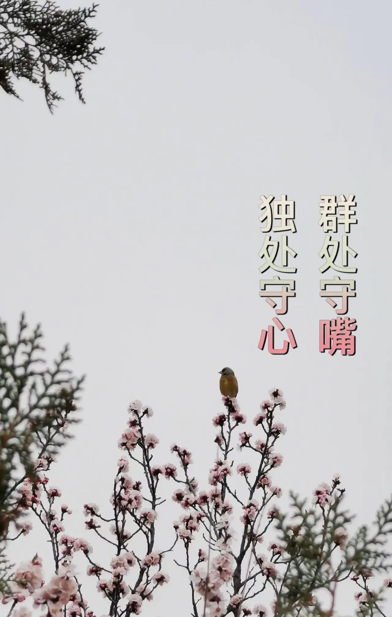 人多时管住嘴,人少时管住心.话多,错多,是非多,妄念,妄想,痛苦多.
