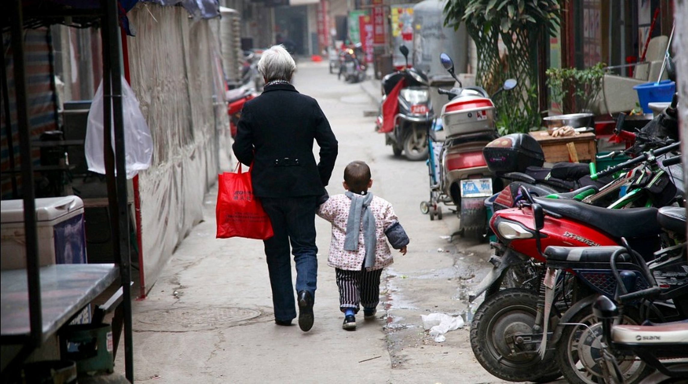 越来越多的老人发现,自己从小带大的孙子孙女也好,外孙子外孙女也罢