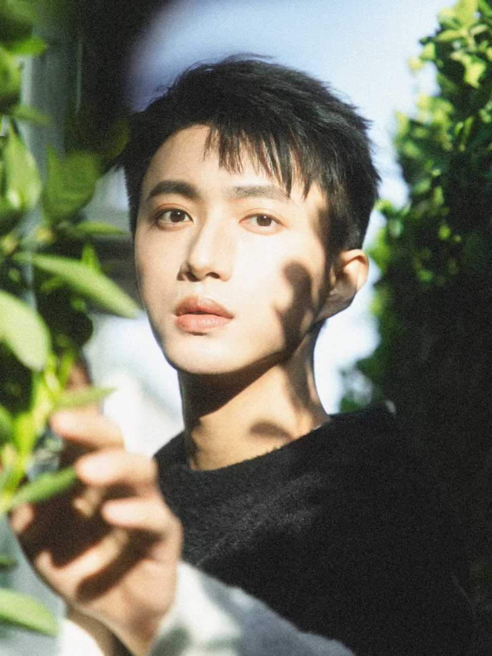 78张瑞成 丨春日写真92 ┊ 阳光清浅 微风拂动 95 ┊春色如期