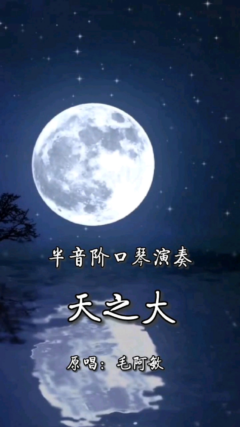 半音阶口琴演奏《天之大》原唱:毛阿敏