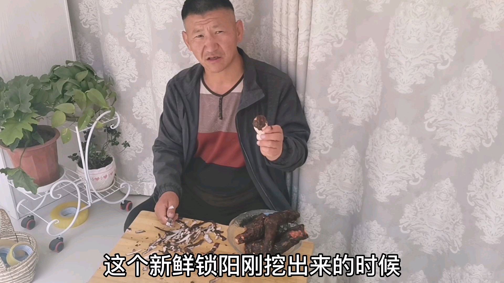 金锁阳,削皮切片后和苁蓉鲜干切片泡水泡酒开胃健脾