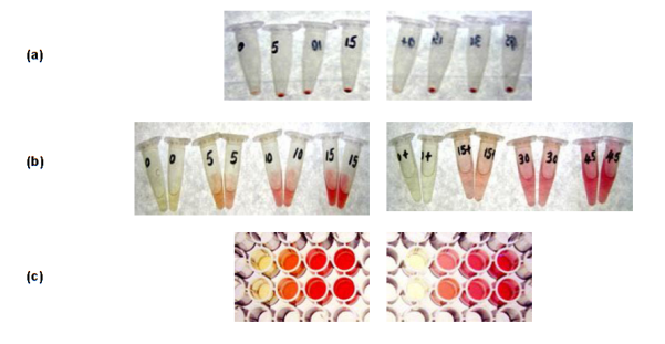 胶原蛋白检测试剂试剂盒biovendor s100和s2000检测结果展示