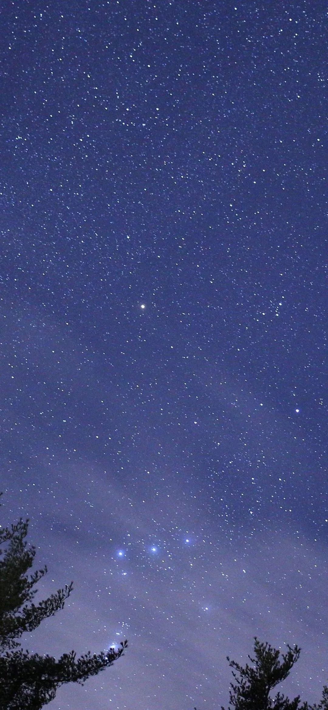 唯美星空壁纸系列|山林不向四季起誓