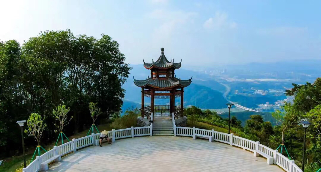 黄埔"区灯"——中华灯,你见过吗?