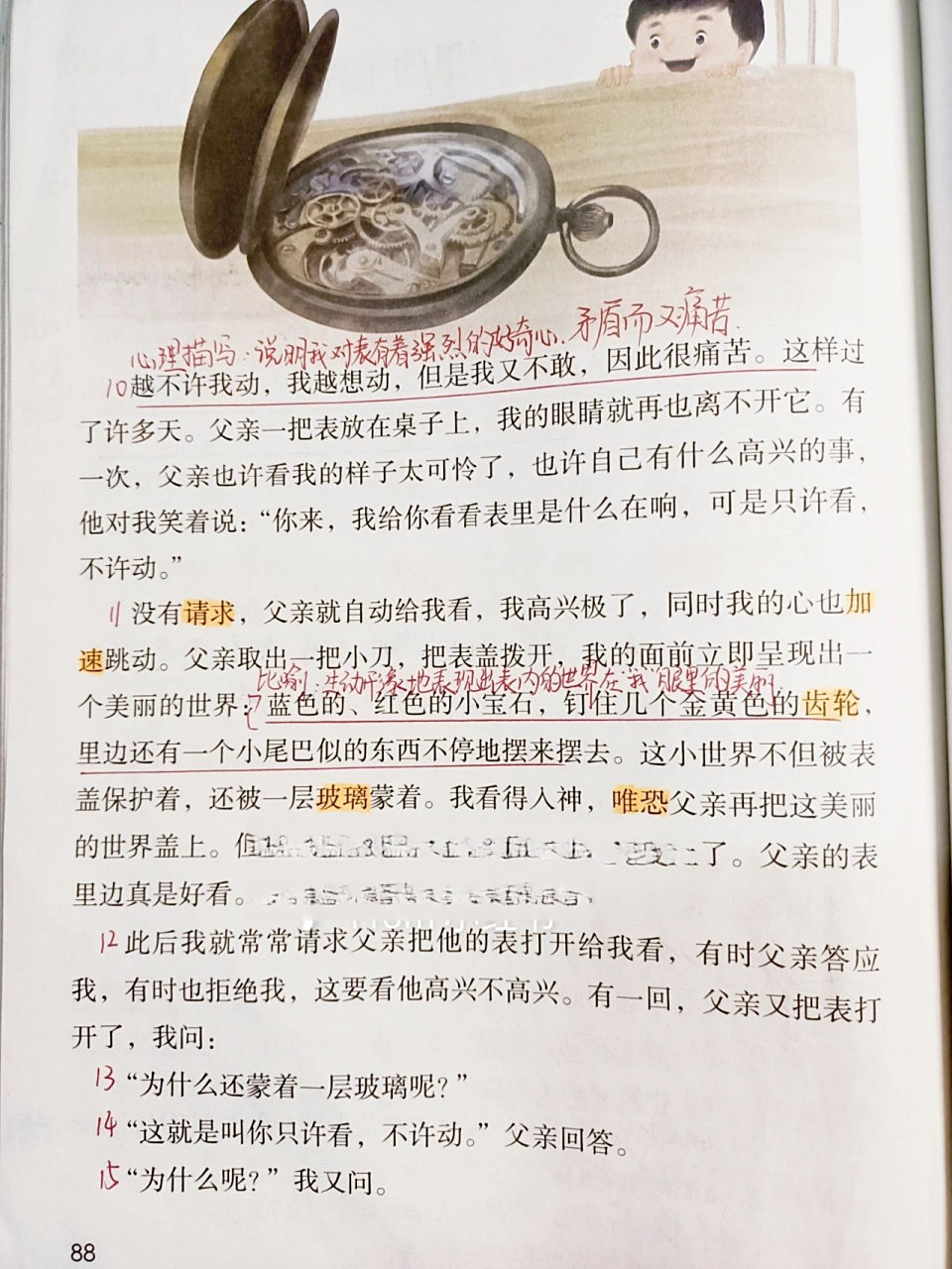 六年级语文下册《表里的生物》课堂笔记 95959595 六年级语文