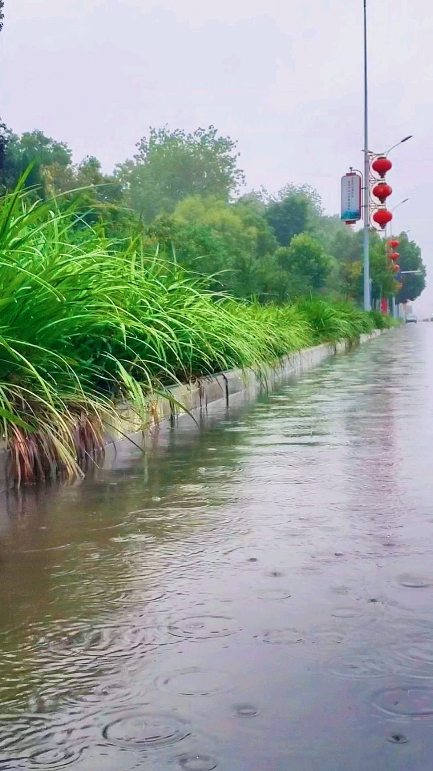 雨后的小河图片