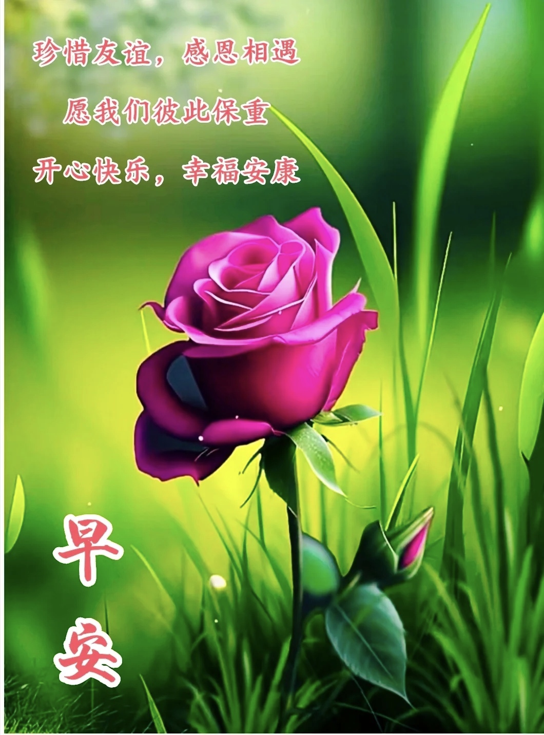 早安早上好早安你好早安美图  秋风有约,花开有期.一切美好,随秋而来.