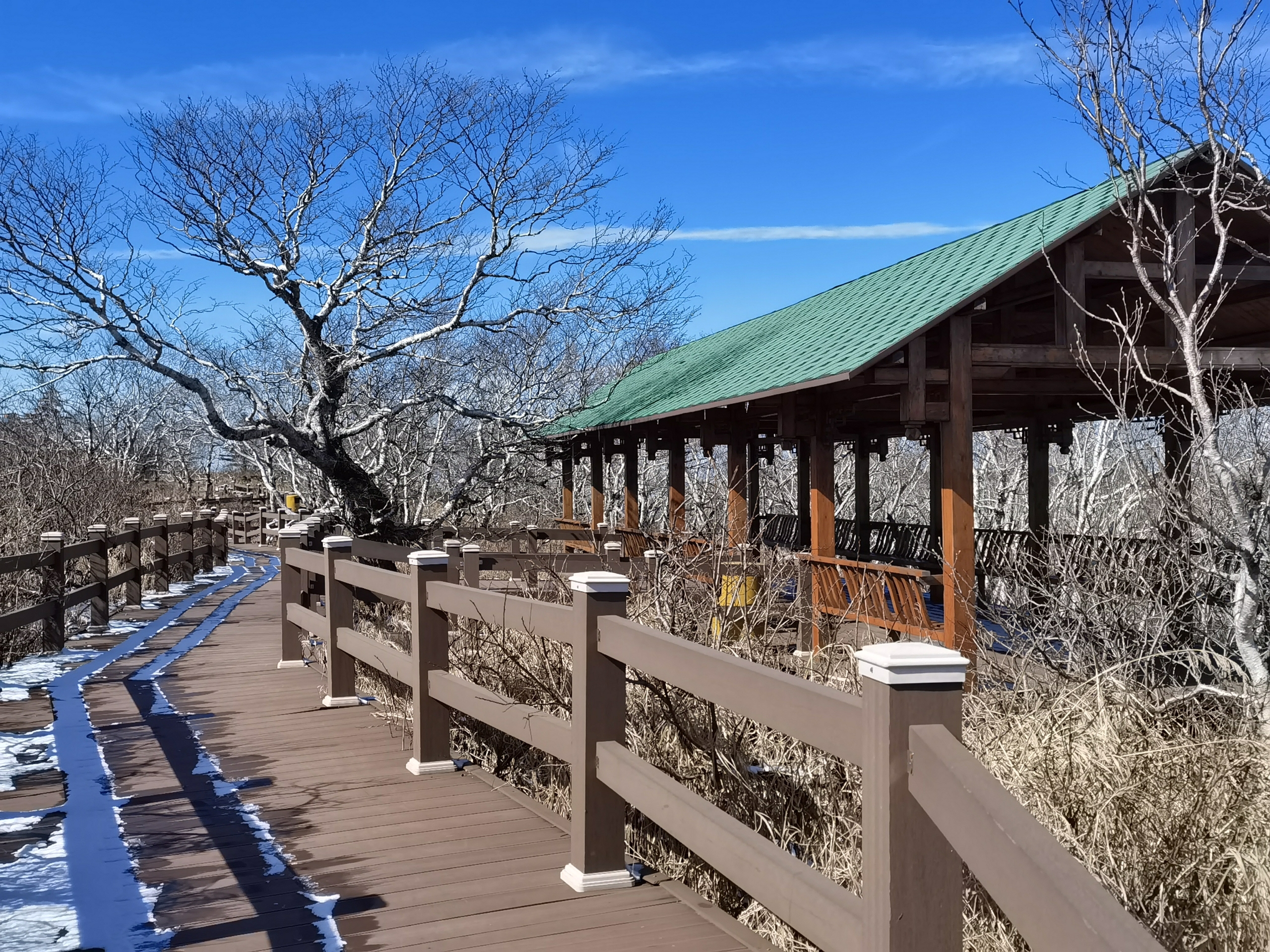 《七律》攜好友秋遊五常鳳凰山國家森林公園(中華通韻)