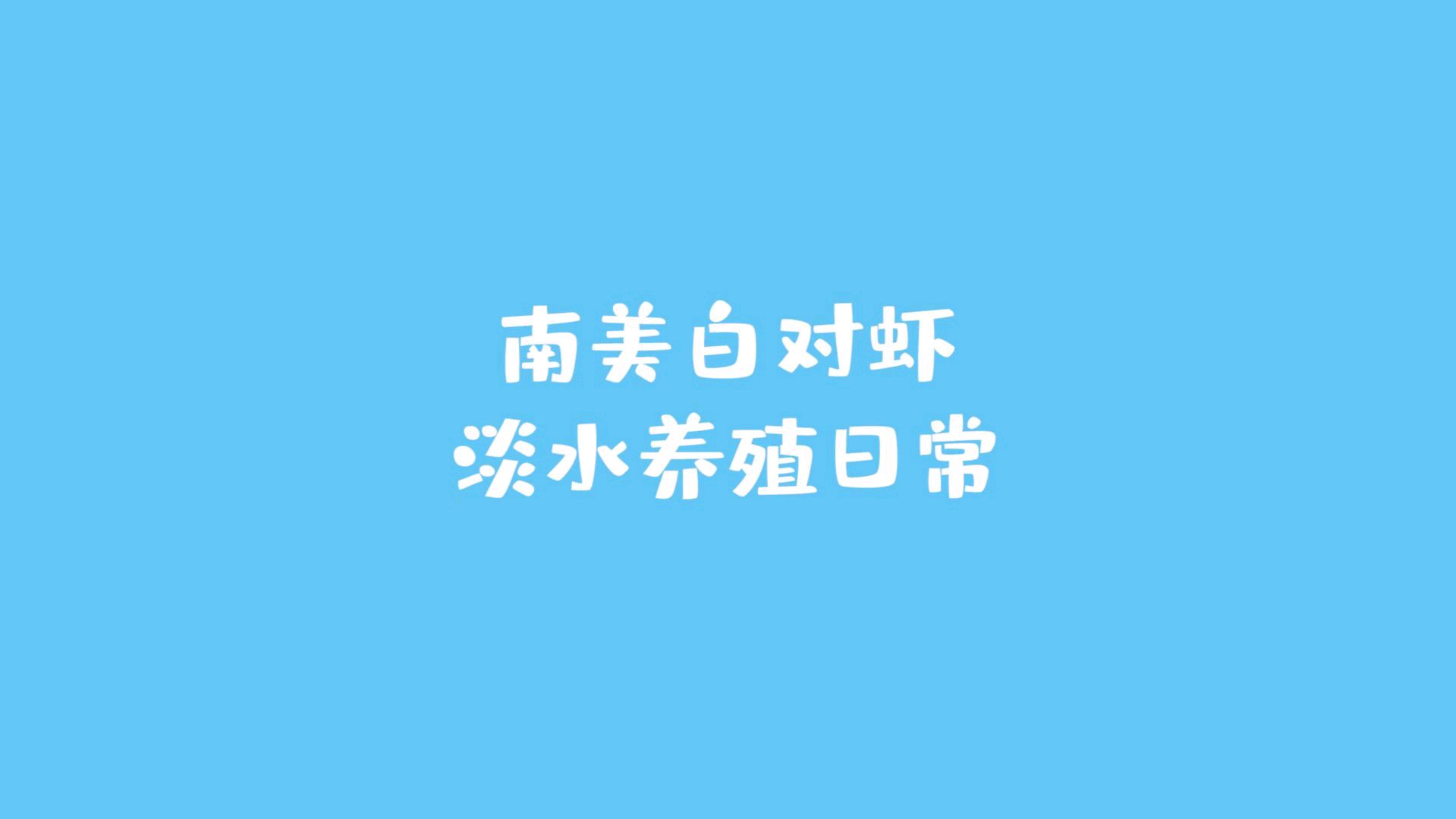 南美白对虾养殖日常工作