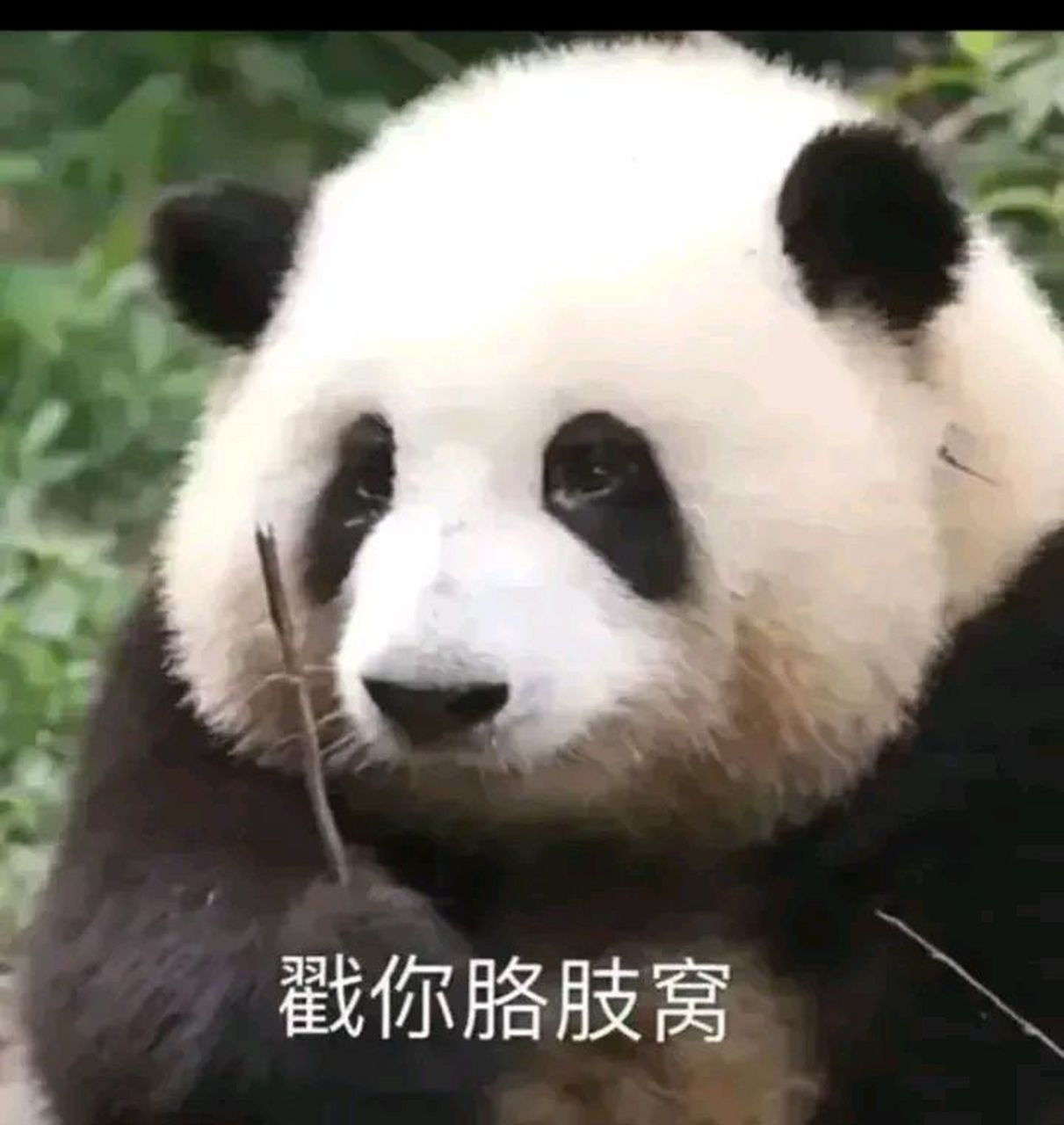 花花:那个晚上,我以为爷爷要杀了我.