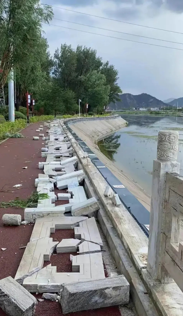 十级风惹祸了,你信吗?