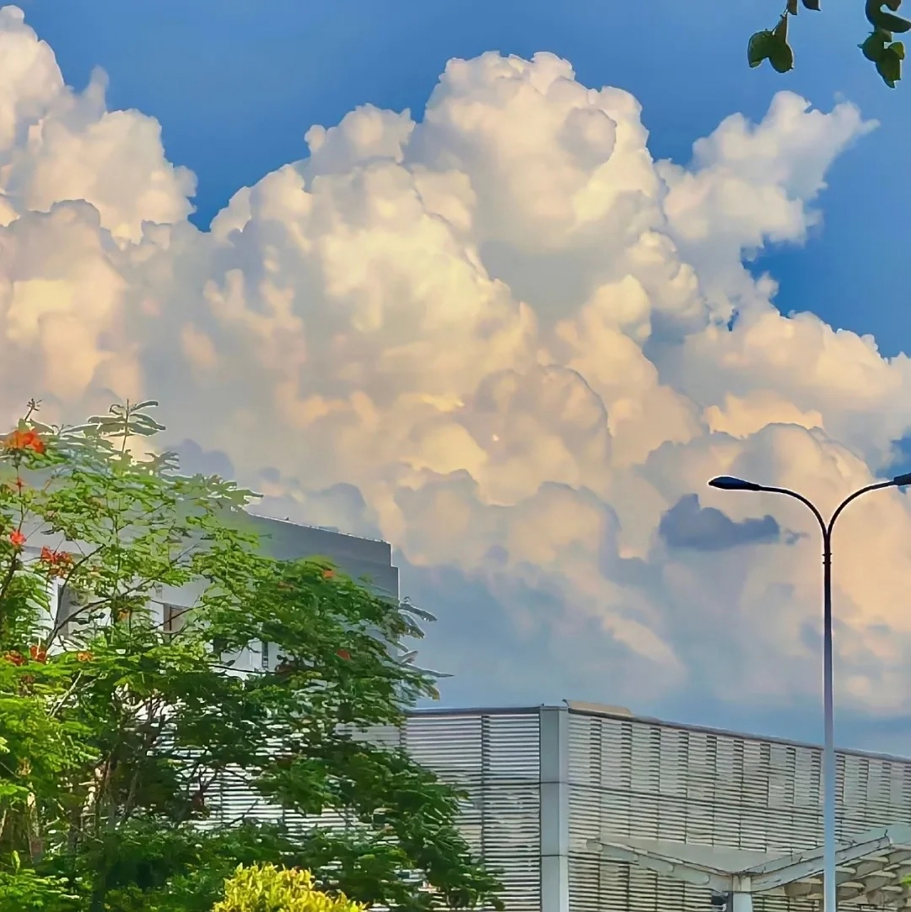 云朵,这是天空的画作9815,很美很治愈