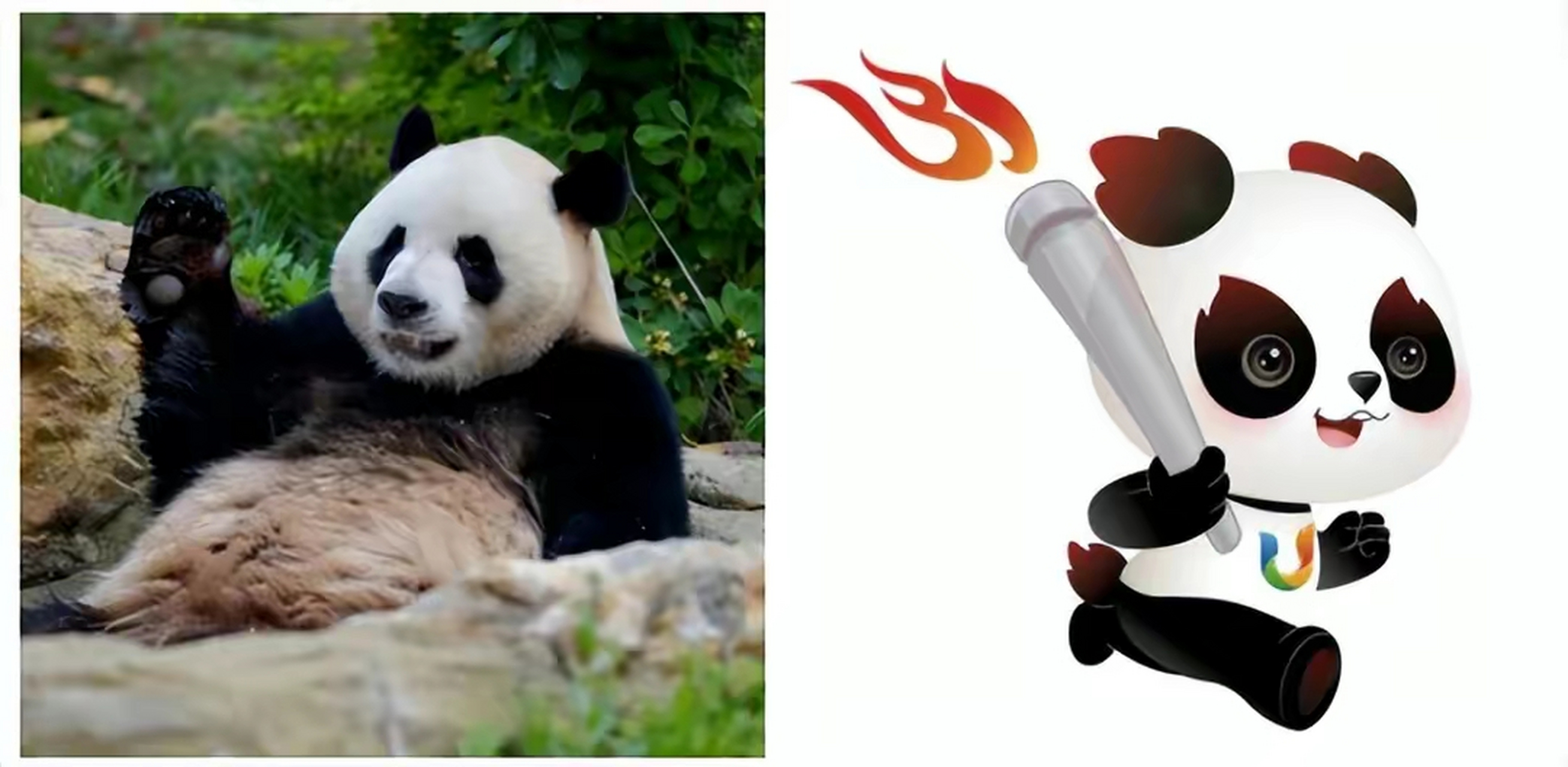 成都大运会吉祥物"蓉宝",火炬"蓉火",奖牌"蓉光",名字皆取意成都的