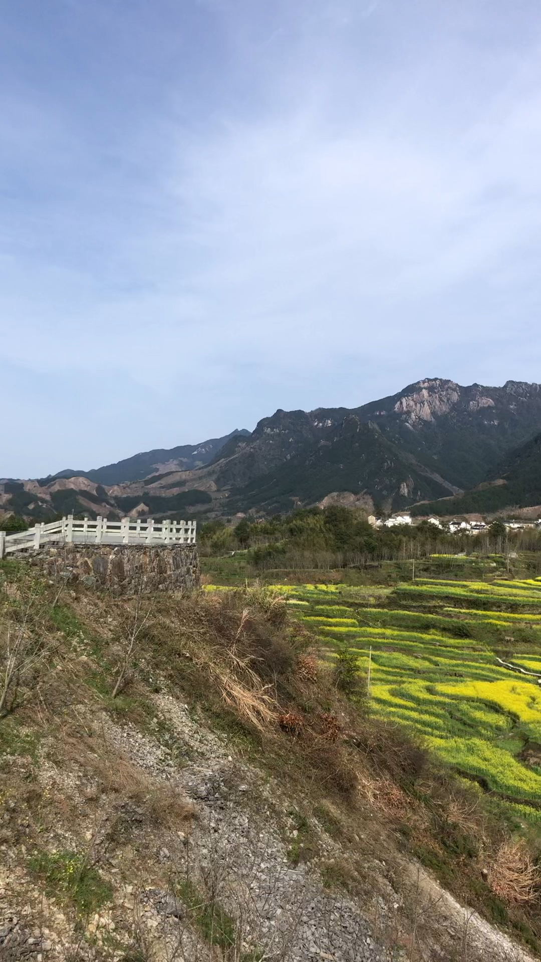 家朋乡梅干岭,三月季油菜花.