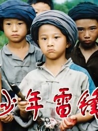 FG三公官网官网计划电影封面图