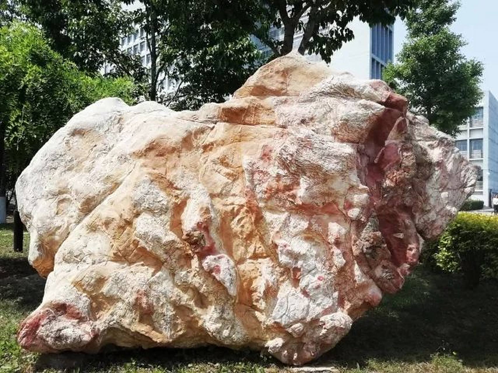 校园# 景观文化|奇石(2) 风暴砾屑灰岩(竹叶状灰岩):由石灰岩砾薪胶