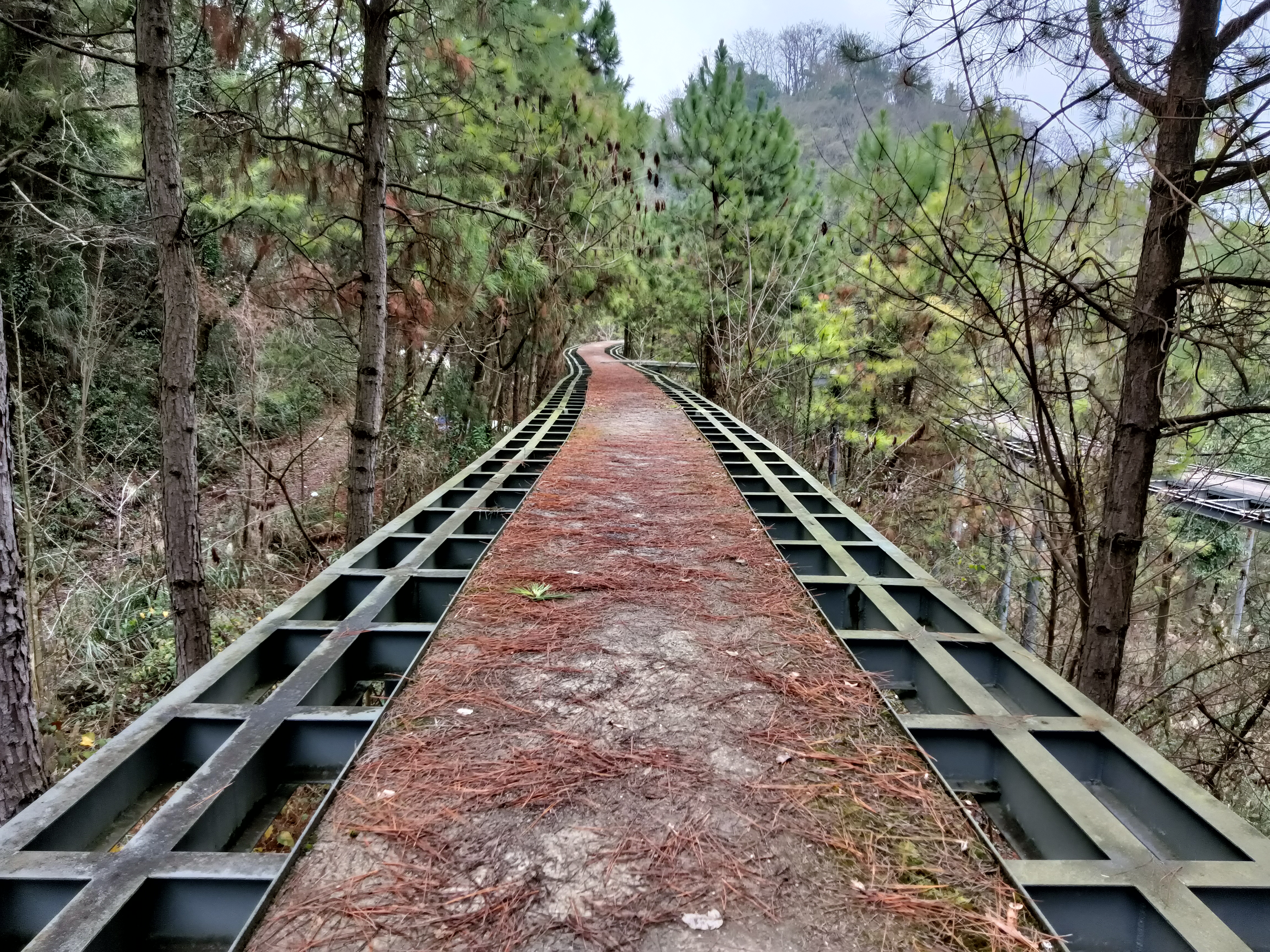 这里是贵州遵义的南岭公园