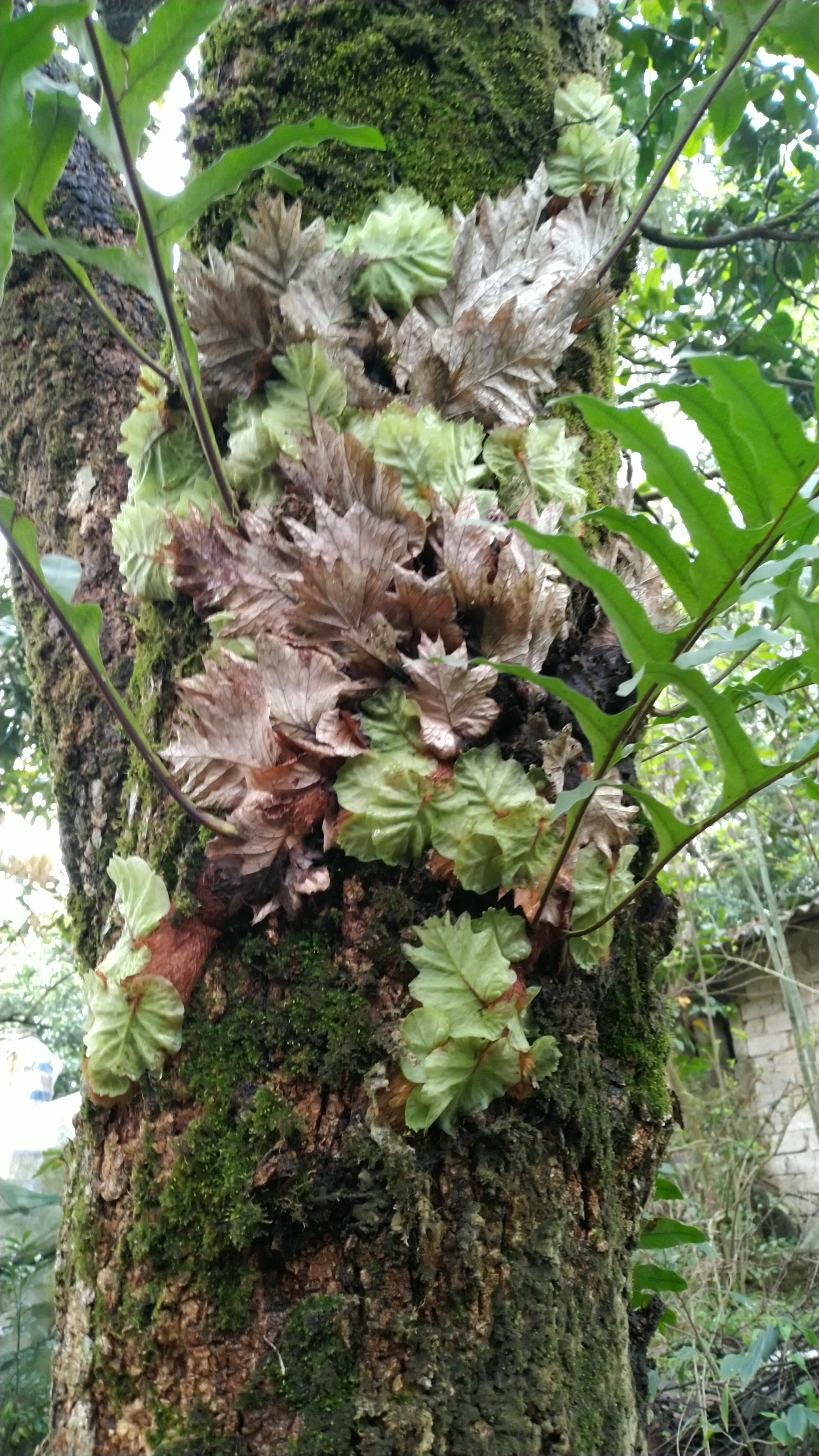 2160_3840竖版 竖屏