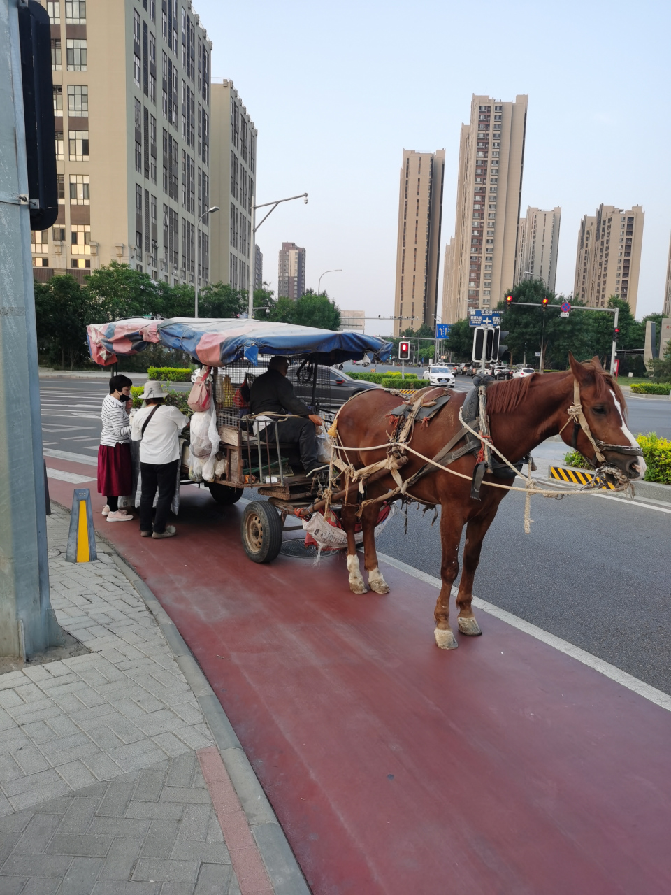 曹州老窖马拉车酒图片图片