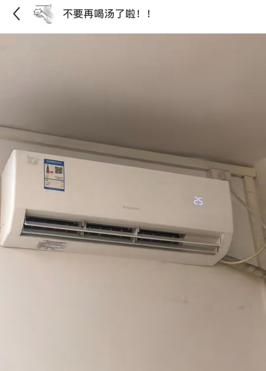 网友:一回家发现猫给自己开了空调,还开25度,你这小猫咪,是懂得享福的