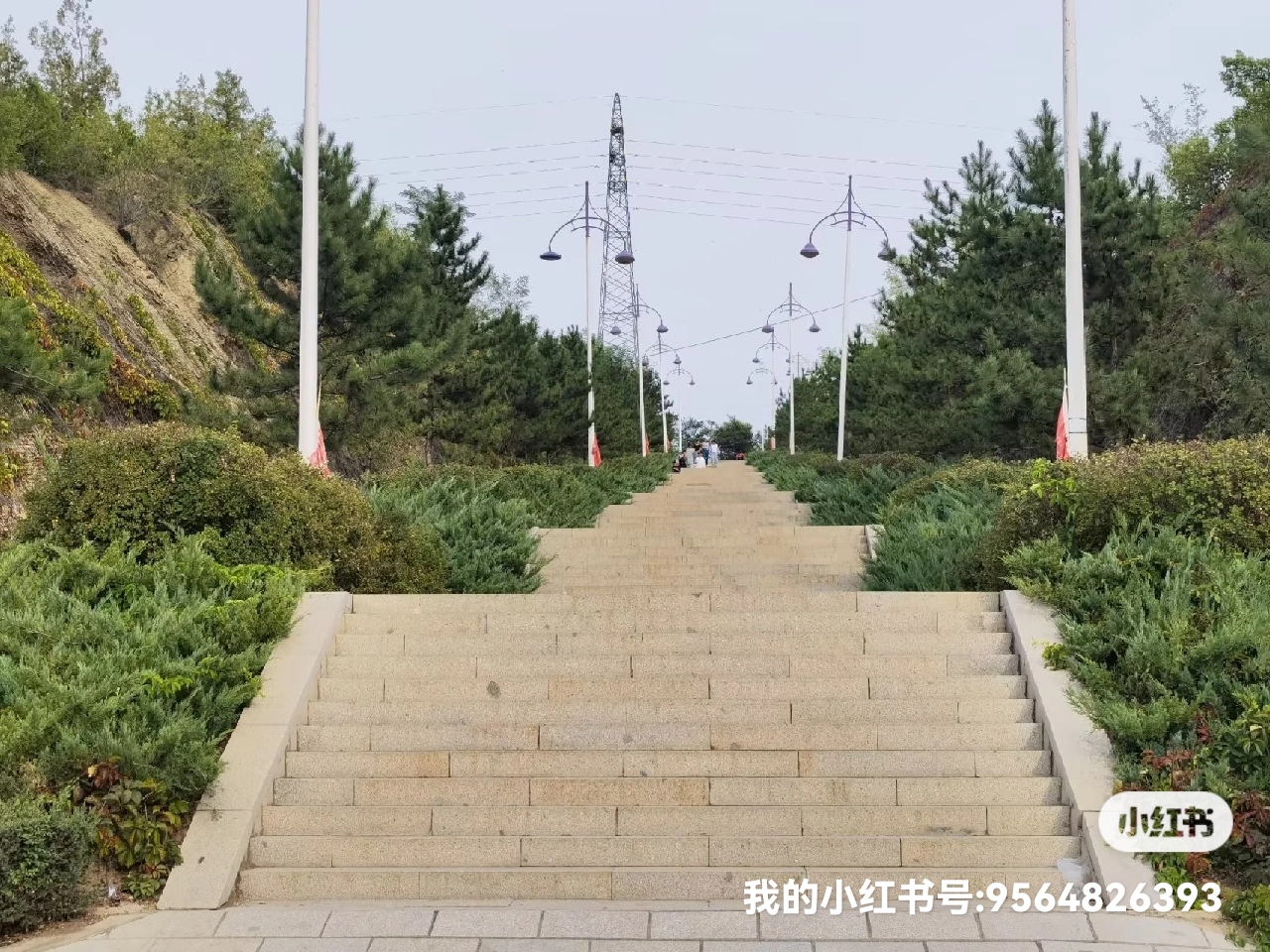 休闲散步好去处～喀左东山森林公园