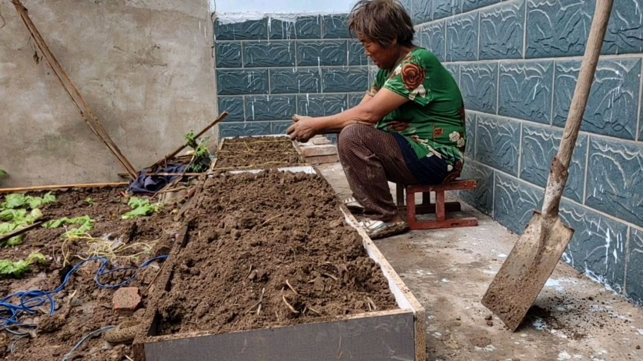 下雨天,妈妈准备在这木头箱子里面装土种菜我夸妈妈有创意好有才