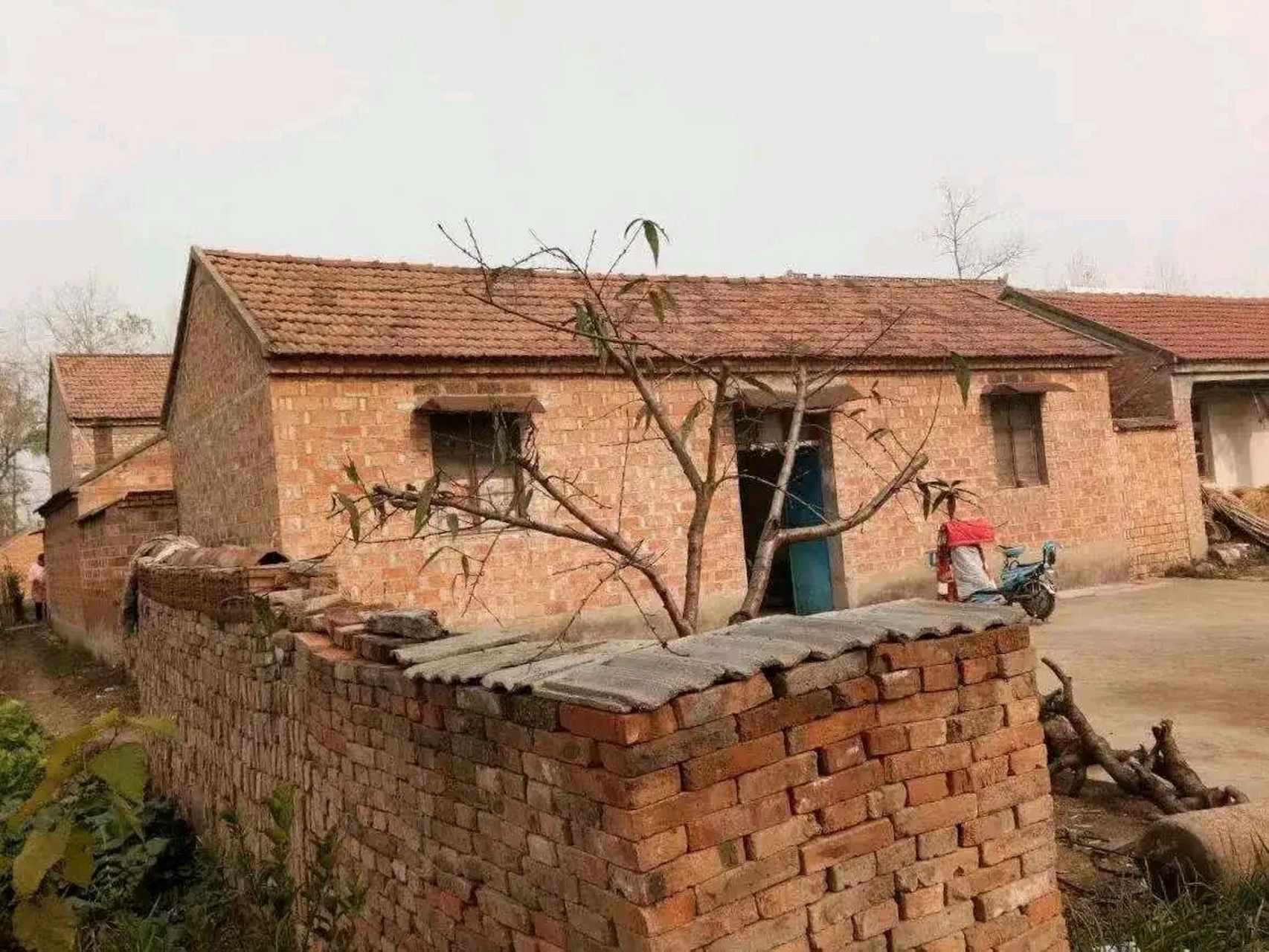 看到这个房子,我当时震惊了,竟然江苏还有这种房子,整个村上基本上都