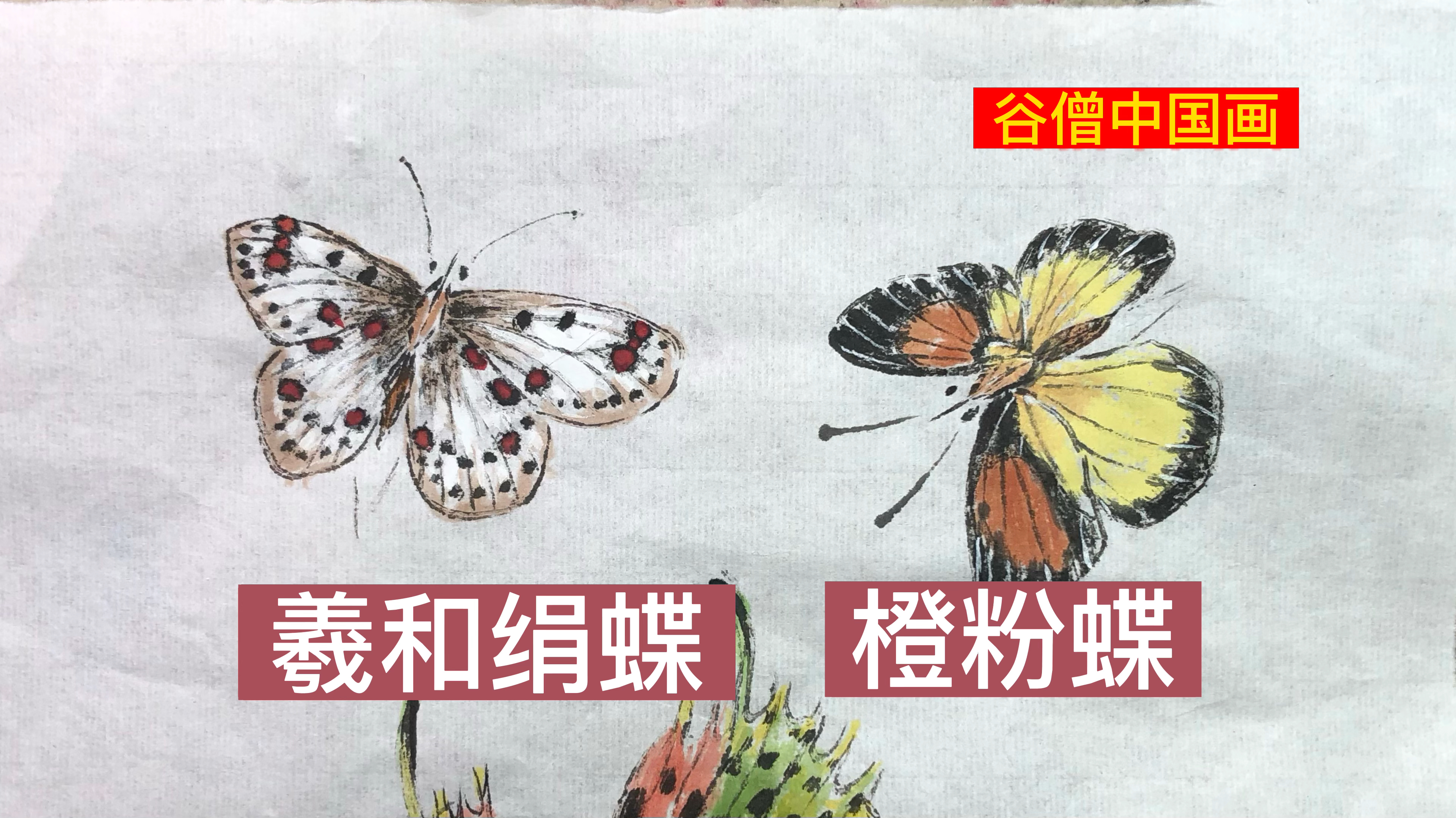 谷僧中国画蝴蝶,写意水墨画蝴蝶画法