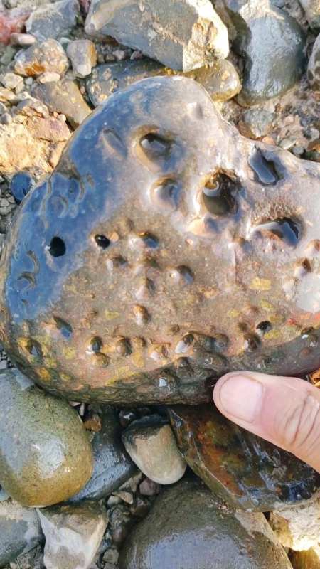 这块石头有窟窟窿窿的画面,是不是陨石呢-度小视