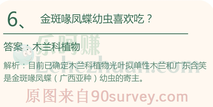 金斑喙凤蝶幼虫喜欢吃什么? 金斑喙凤蝶幼虫喜欢吃什么?