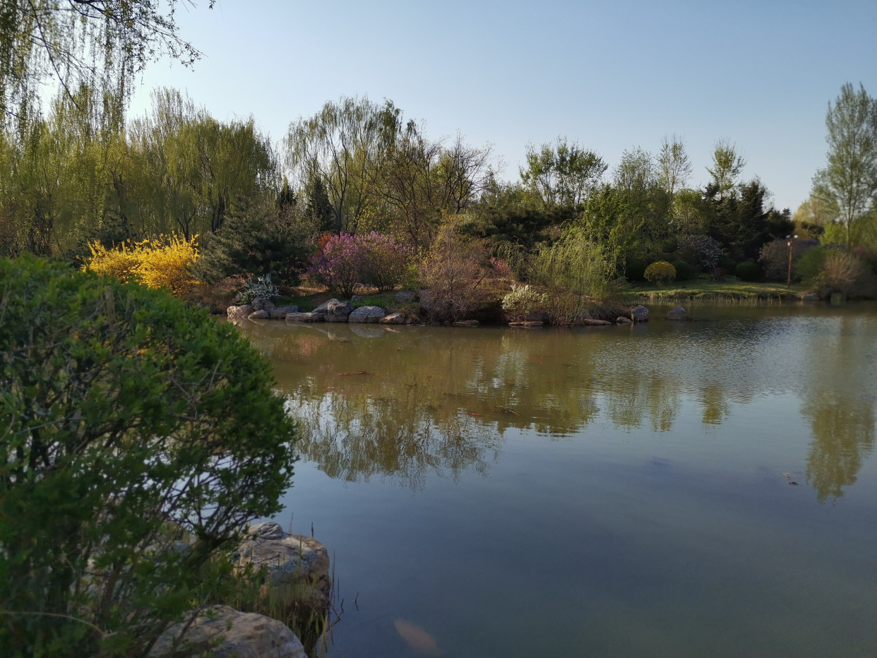 铁岭桂林公园图片