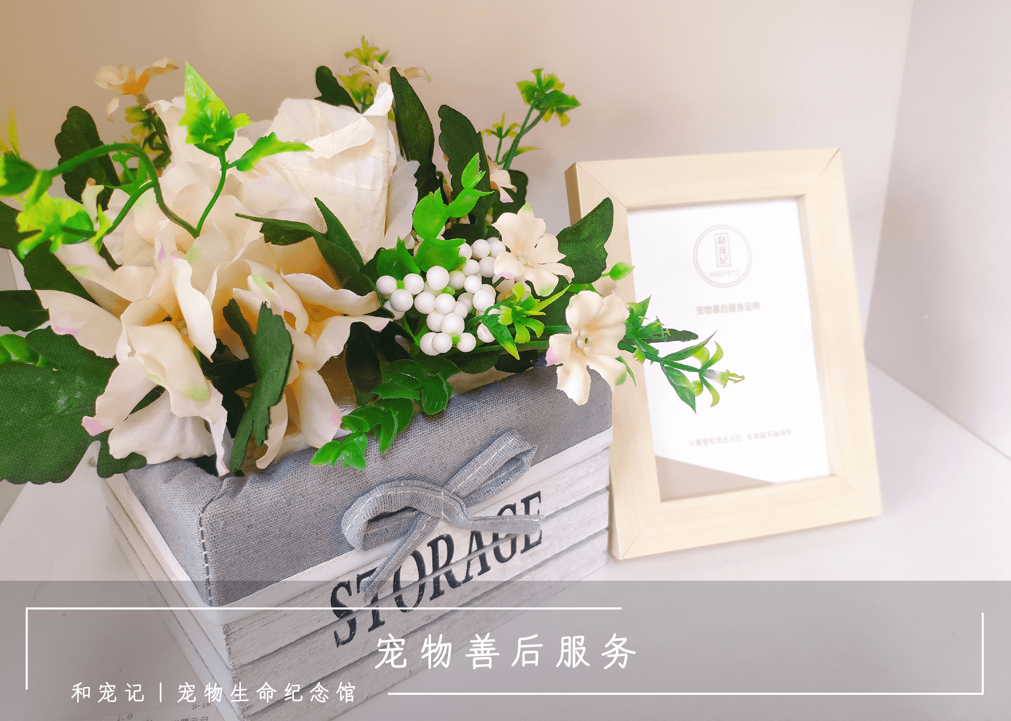 爱宠纪念网超度的简单介绍