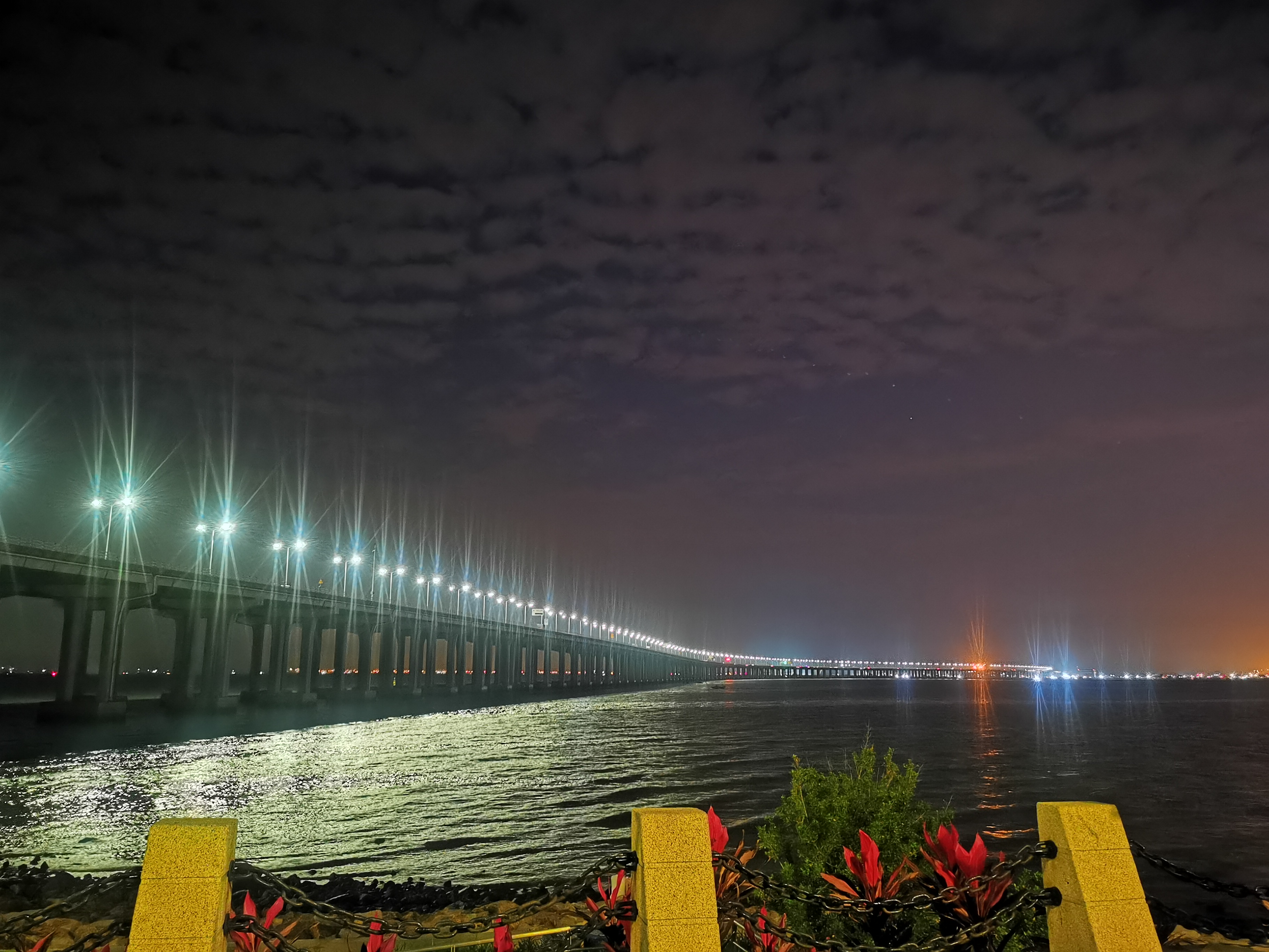 西湾红树林公园夜跑的小姐姐