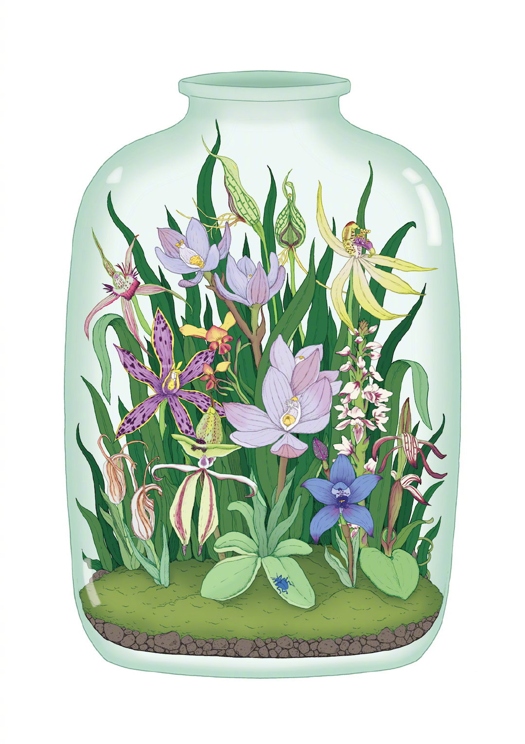 《绘画作品分享》|创意十足的瓶中世界