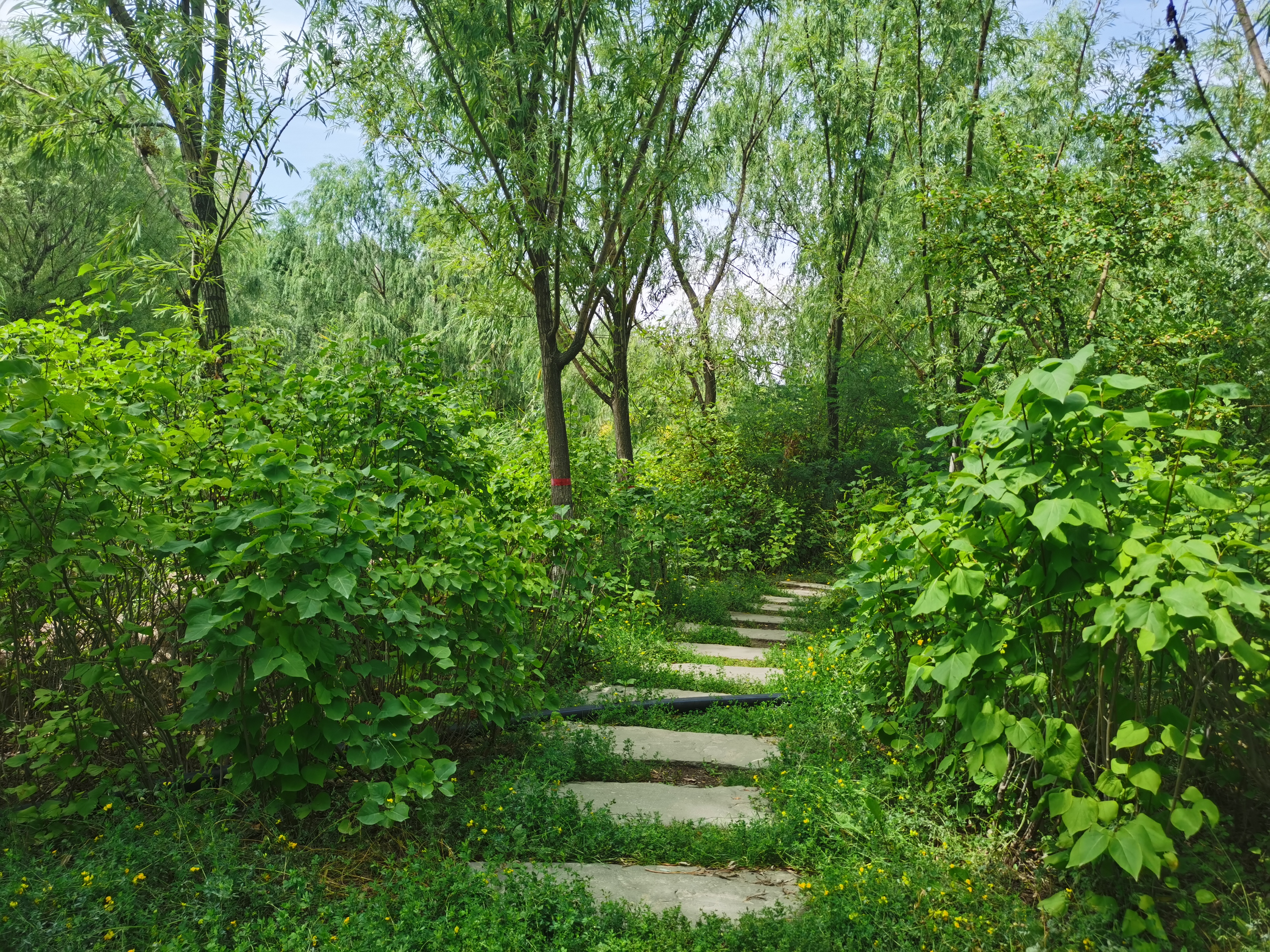 乌鲁木齐小绿谷风景