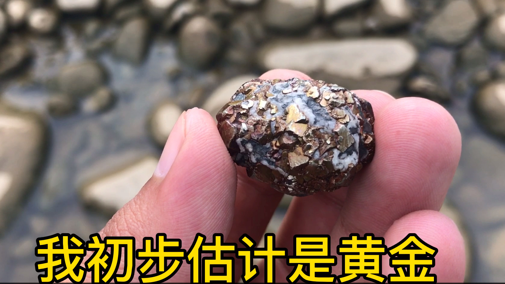 小伙到河里捡野鸭蛋,意外捡到一块金矿,走狗屎运了