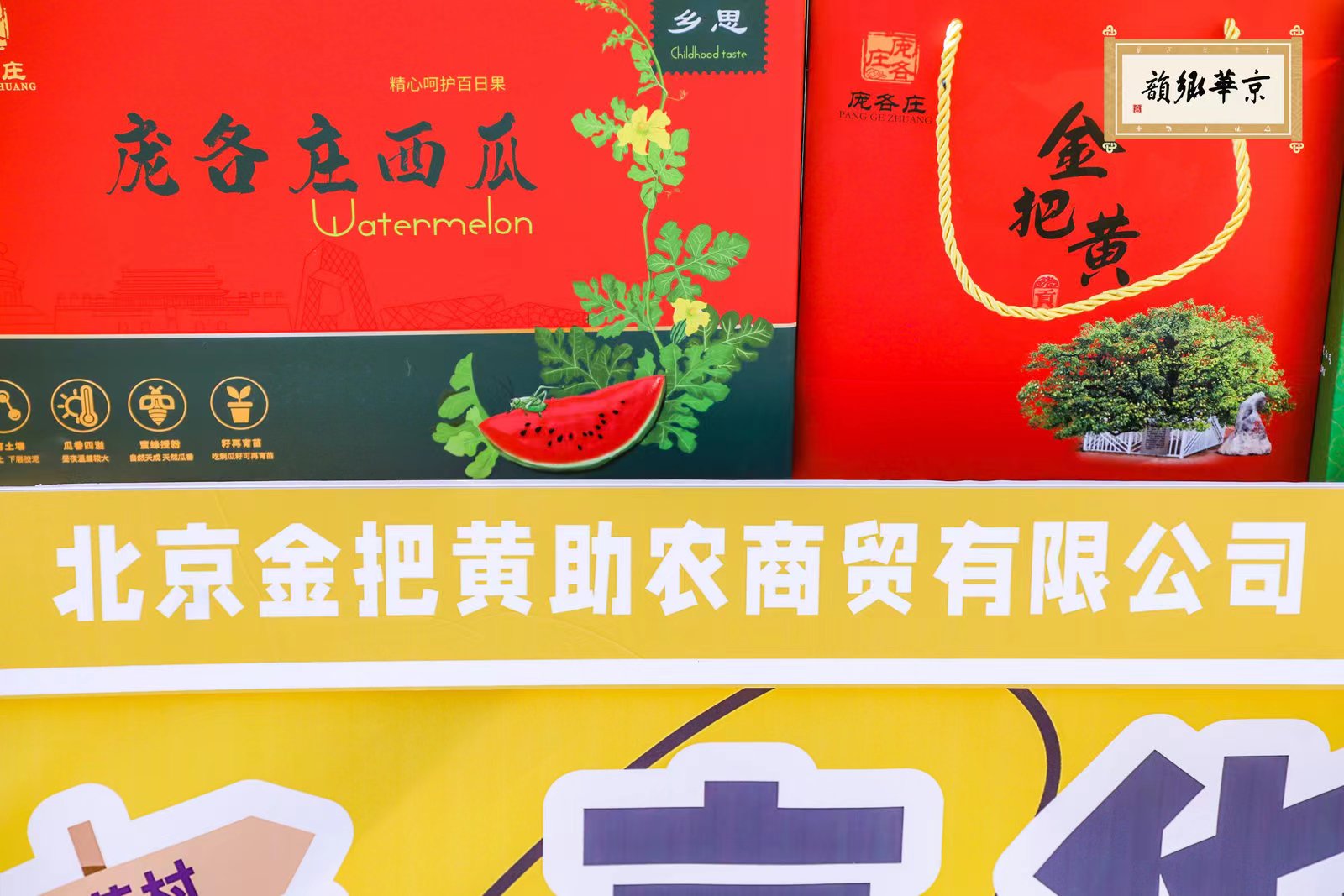 智能生成线路 体验独特京郊京韵——北京大兴庞各庄梨花节盛大开幕