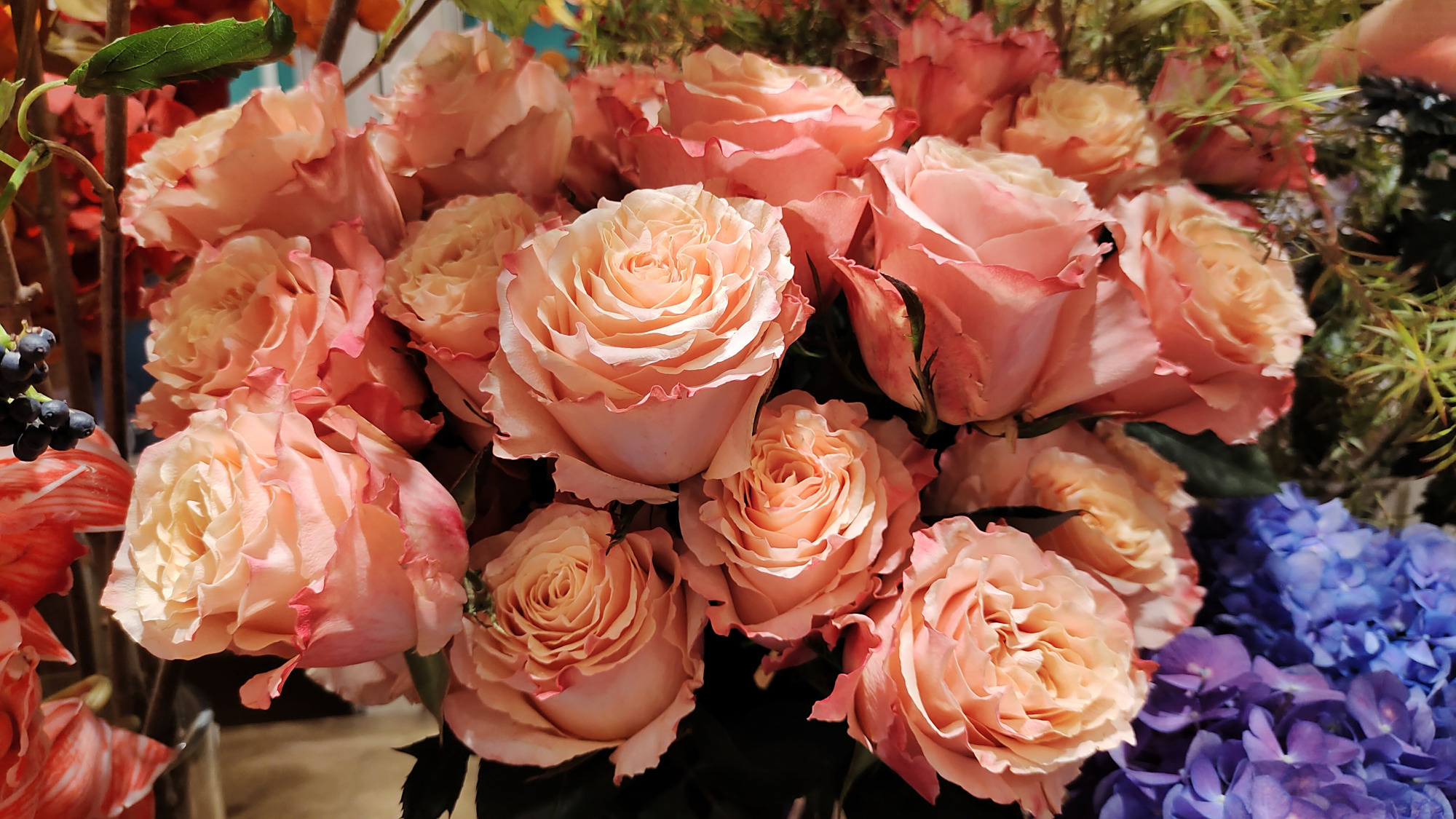 深圳高端鲜花野兽派,一支玫瑰80块钱!