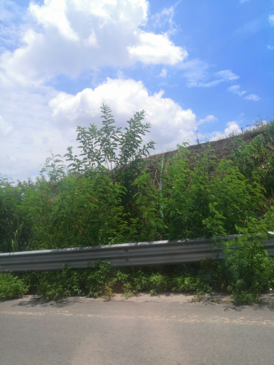 归去来兮 虽不明朗 虽然 希望渺茫 困难重重 但是 信心满满 决心坚定