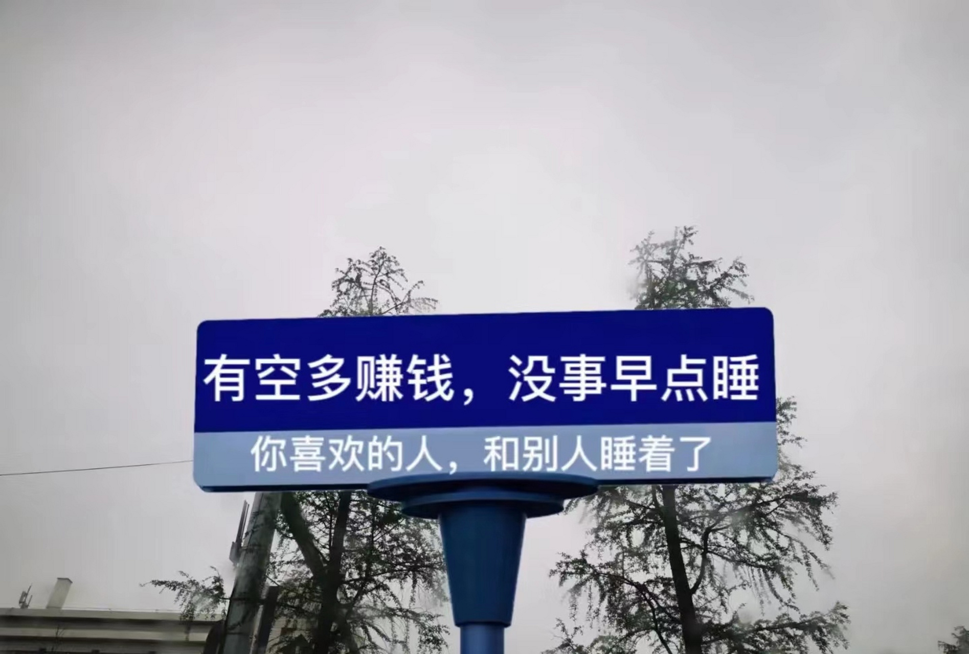 有空多赚钱,没事早点睡,你喜欢的人,和别人睡着了…#沙雕