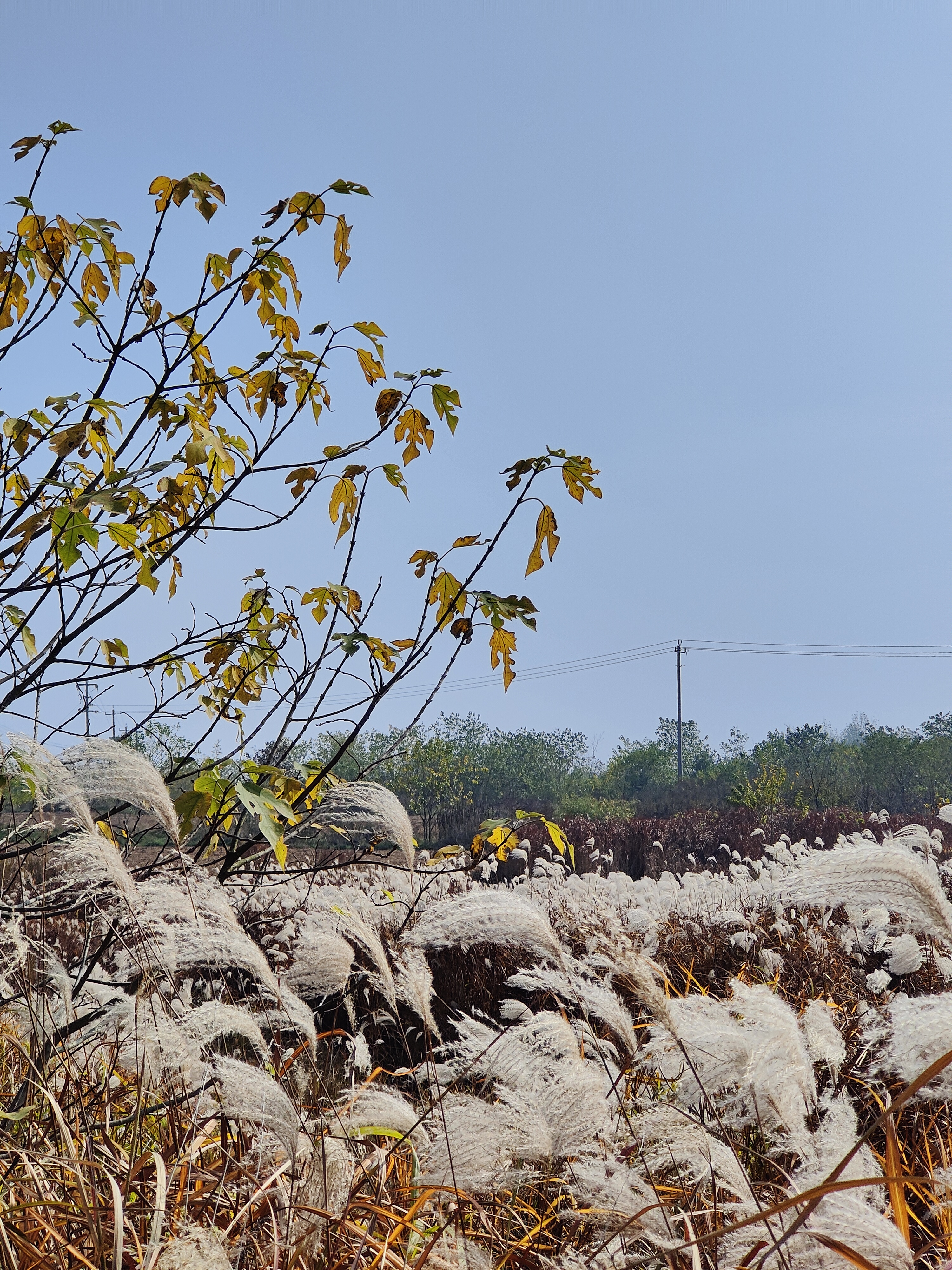 六合竹镇枫彩漫城周边的美景