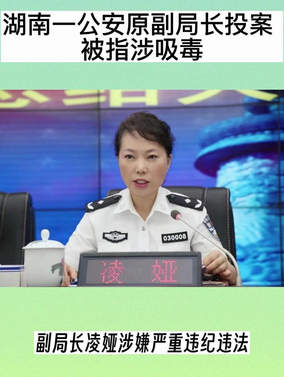 而凌娅曾是名噪一时的湖南太子奶集团一案的侦查负责人.