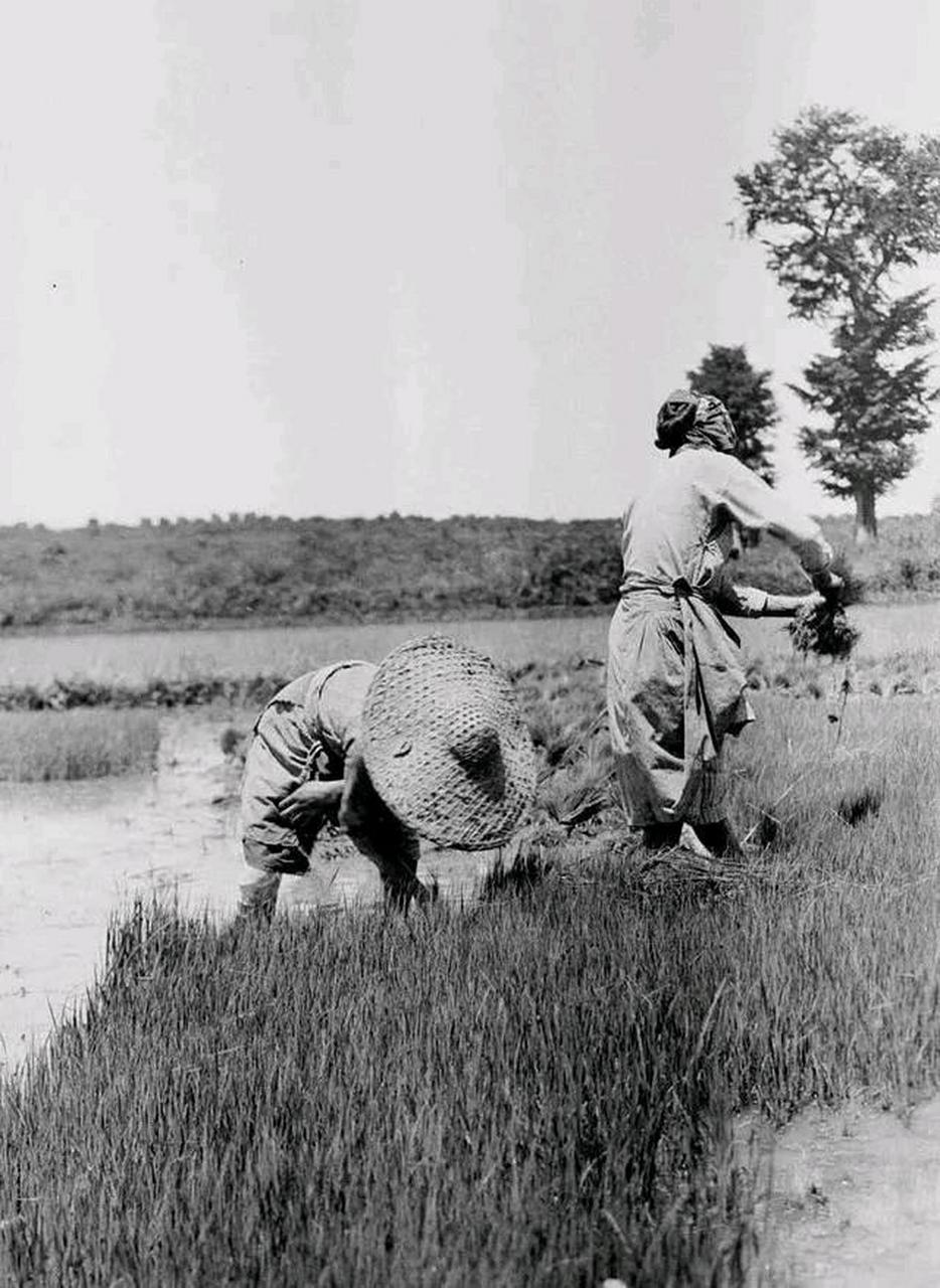 这是一组30年代中国农村的照片,那个时候农村生产力还非常低下,种地全