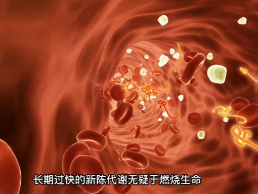 细胞暗战:当你面临危险时,细胞如何为你而战?