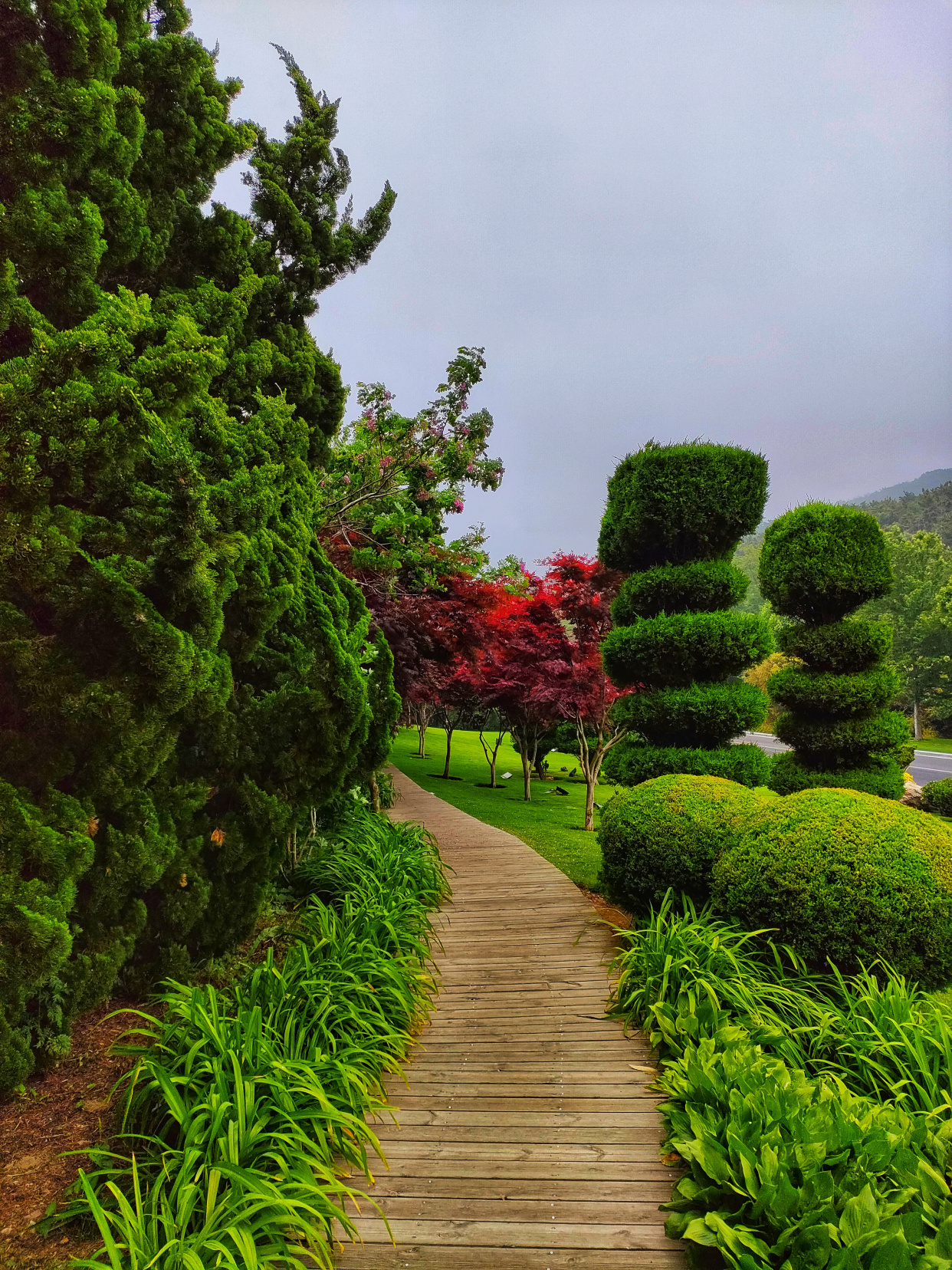 大雾也挡不住大连迎宾路的美